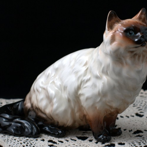 Гималайский кот, Shafford, Япония