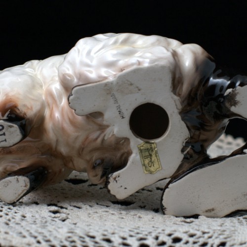 Гималайский кот, Shafford, Япония