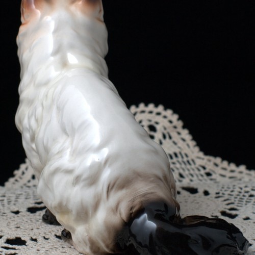 Гималайский кот, Shafford, Япония