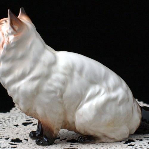 Гималайский кот, Shafford, Япония