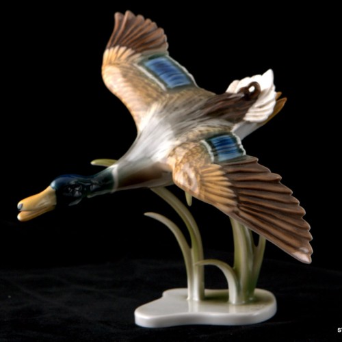 Утка летящая в камышах, Alka Kaiser, Германия