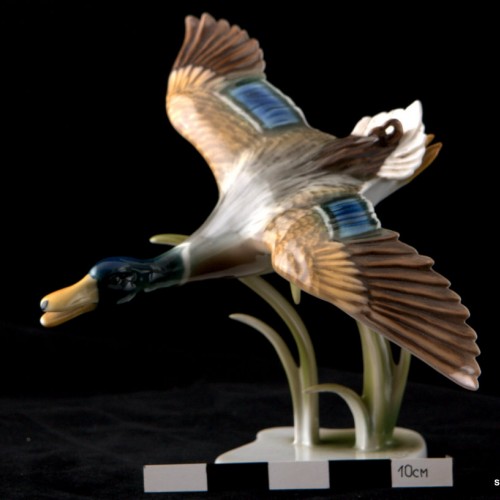 Утка летящая в камышах, Alka Kaiser, Германия