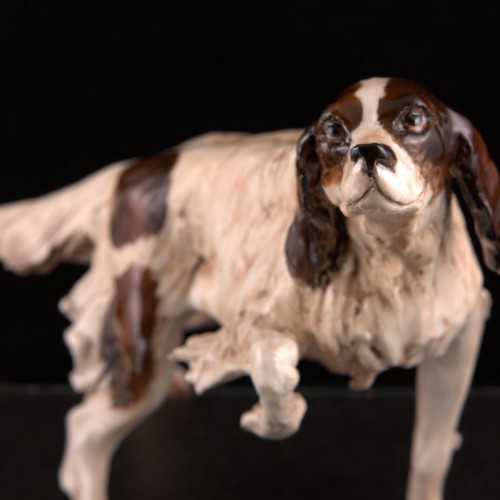 Сеттер, Tay, Италия