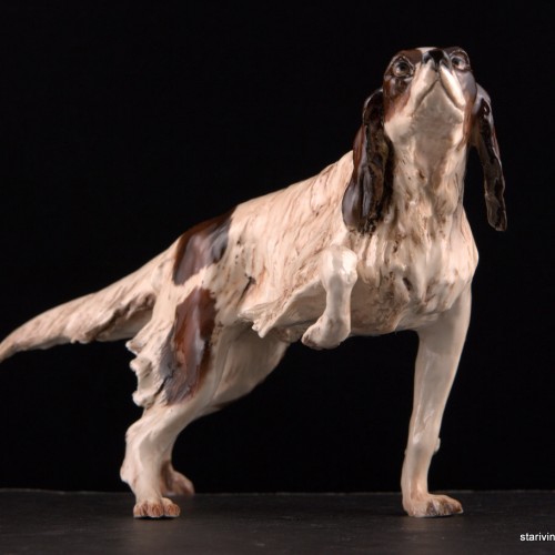 Сеттер, Tay, Италия