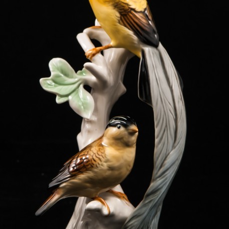 Райские птицы, Karl Ens, Германия