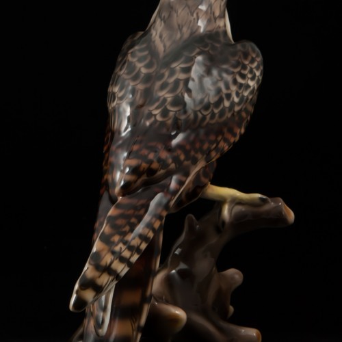 Сокол, Keramos, Австрия