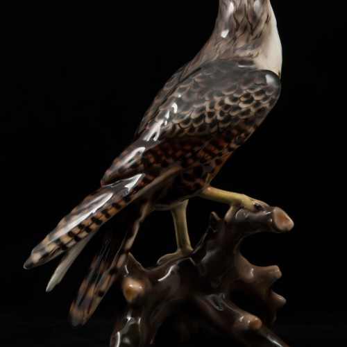 Сокол, Keramos, Австрия