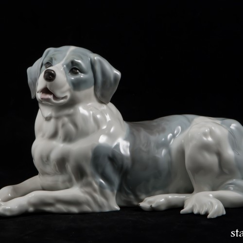 Сенбернар, E. A. Muller, Германия, 1890-1927 гг