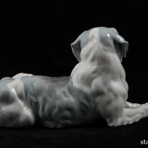 Сенбернар, E. A. Muller, Германия, 1890-1927 гг