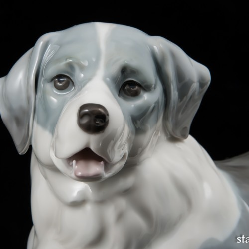 Сенбернар, E. A. Muller, Германия, 1890-1927 гг