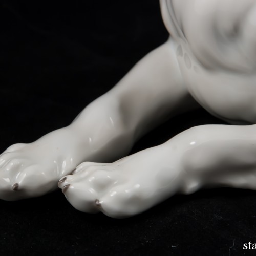 Сенбернар, E. A. Muller, Германия, 1890-1927 гг