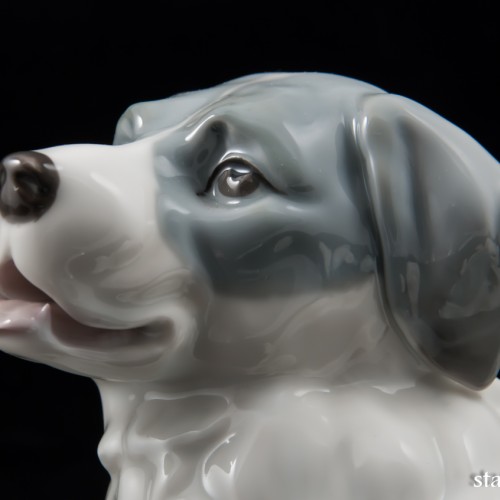 Сенбернар, E. A. Muller, Германия, 1890-1927 гг