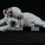 Лежащий щенок, Rosenthal, Германия, 1934-56 гг