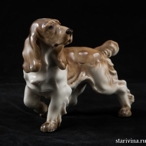 Спаниель с поджатой лапой, Hutschenreuther, Германия, 1955-68 гг
