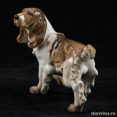 Спаниель с поджатой лапой, Hutschenreuther, Германия, 1955-68 гг