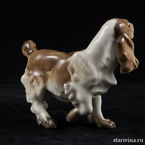 Спаниель с поджатой лапой, Hutschenreuther, Германия, 1955-68 гг