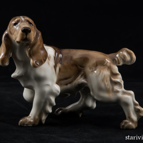 Спаниель с поджатой лапой, Hutschenreuther, Германия, 1955-68 гг