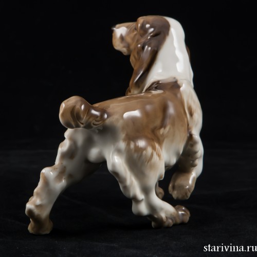 Спаниель с поджатой лапой, Hutschenreuther, Германия, 1955-68 гг