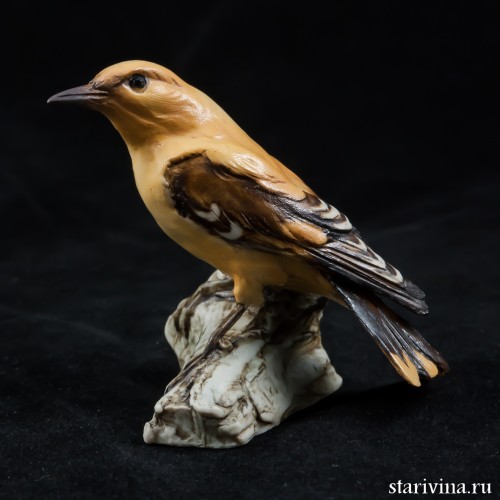 Иволга, Tay, Италия, 1960 гг