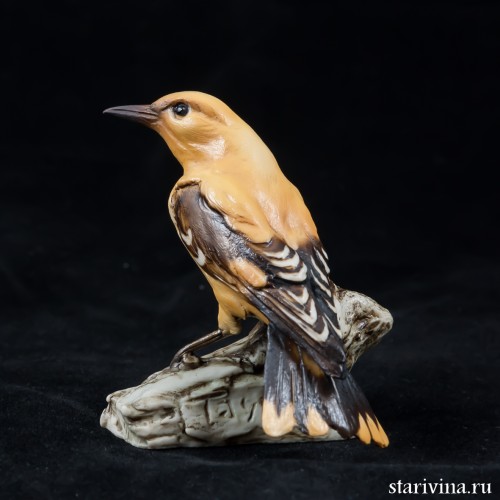 Иволга, Tay, Италия, 1960 гг