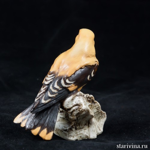 Иволга, Tay, Италия, 1960 гг