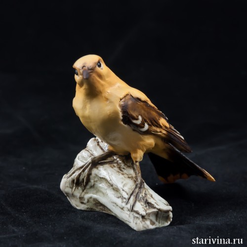 Иволга, Tay, Италия, 1960 гг