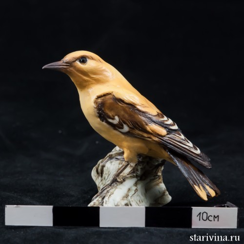 Иволга, Tay, Италия, 1960 гг