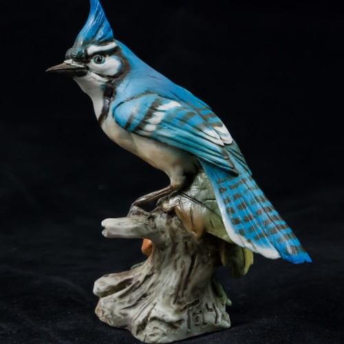 Голубая сойка, Tay, Италия, 1960 гг