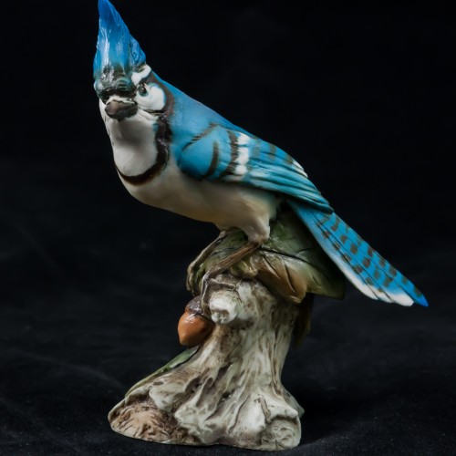 Голубая сойка, Tay, Италия, 1960 гг