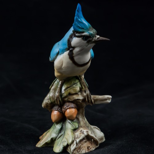 Голубая сойка, Tay, Италия, 1960 гг