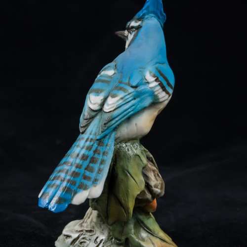 Голубая сойка, Tay, Италия, 1960 гг