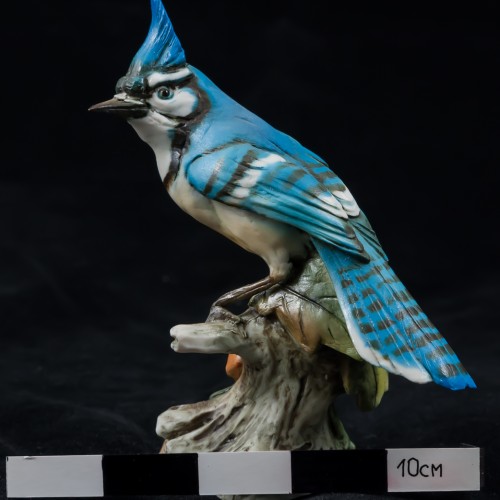 Голубая сойка, Tay, Италия, 1960 гг