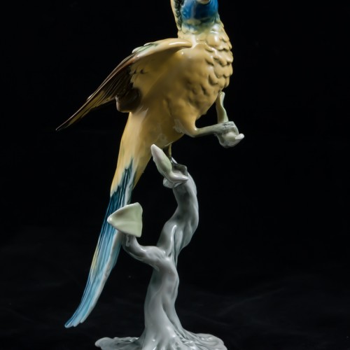 Попугай ара на дереве, Alka Kaiser, Германия, 1960-70 гг