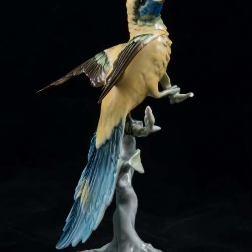 Попугай ара на дереве, Alka Kaiser, Германия, 1960-70 гг