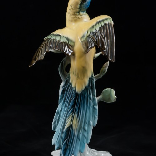 Попугай ара на дереве, Alka Kaiser, Германия, 1960-70 гг