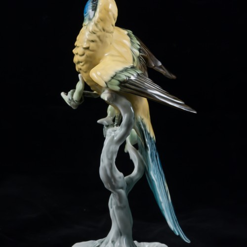 Попугай ара на дереве, Alka Kaiser, Германия, 1960-70 гг