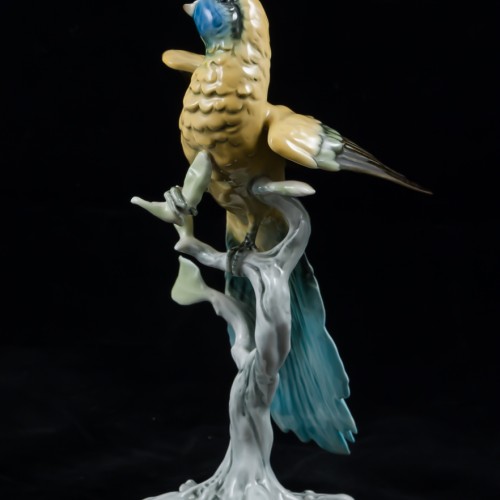 Попугай ара на дереве, Alka Kaiser, Германия, 1960-70 гг