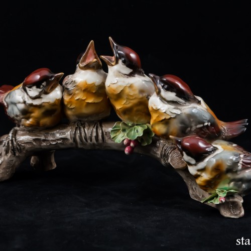 Пять птичек на ветке, Tay, Италия