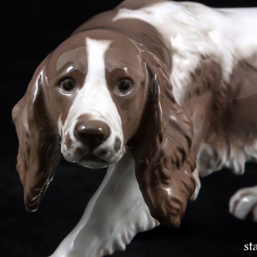 Спаниель, Rosenthal, Германия, 1936 г