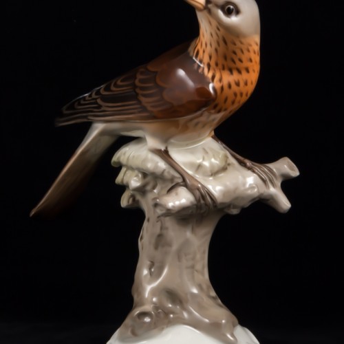 Дрозд рябинник, Tirschenreuth, Германия, 1970 гг