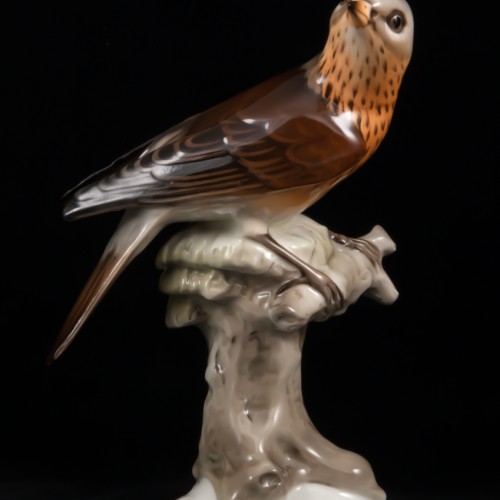 Дрозд рябинник, Tirschenreuth, Германия, 1970 гг