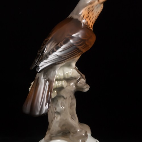 Дрозд рябинник, Tirschenreuth, Германия, 1970 гг