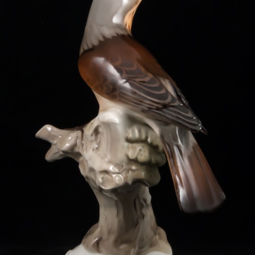 Дрозд рябинник, Tirschenreuth, Германия, 1970 гг