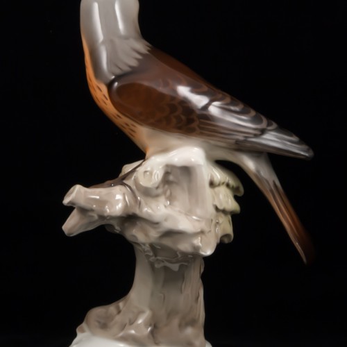 Дрозд рябинник, Tirschenreuth, Германия, 1970 гг