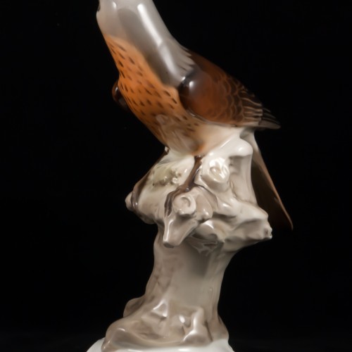 Дрозд рябинник, Tirschenreuth, Германия, 1970 гг