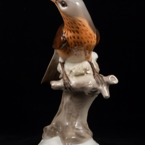 Дрозд рябинник, Tirschenreuth, Германия, 1970 гг