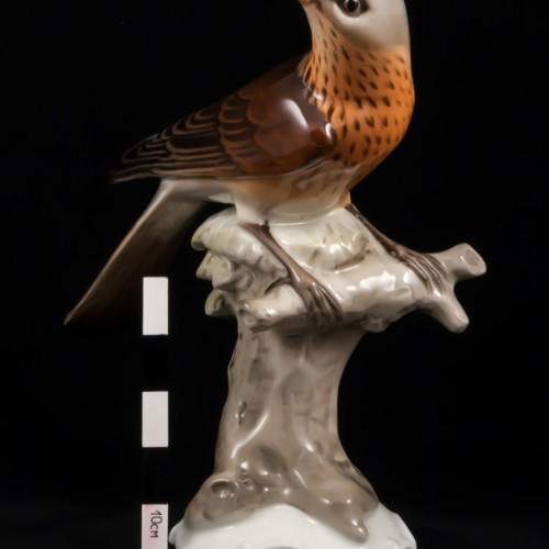 Дрозд рябинник, Tirschenreuth, Германия, 1970 гг