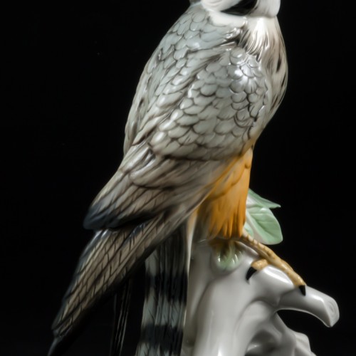 Сокол сапсан, Karl Ens, Германия