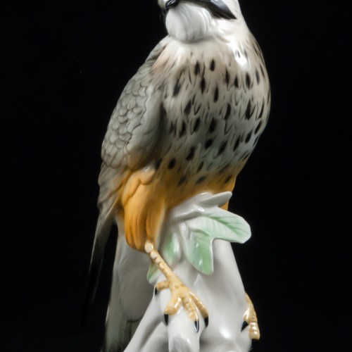 Сокол сапсан, Karl Ens, Германия