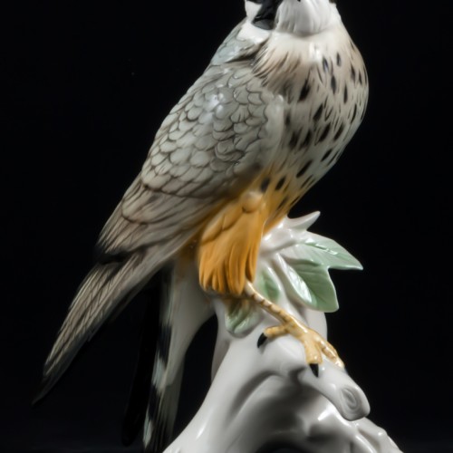 Сокол сапсан, Karl Ens, Германия